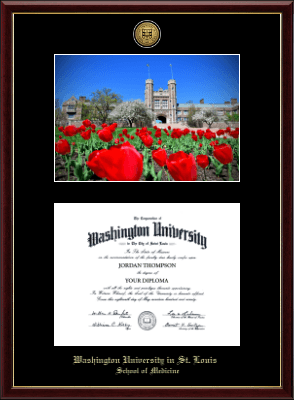 Washington University in St. Louis diploma frame - Gold Engraved Medallion Campus Scene Diploma Frame in Galleria