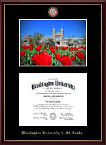 Washington University in St. Louis diploma frame - Gold Engraved Medallion Campus Scene Diploma Frame in Galleria