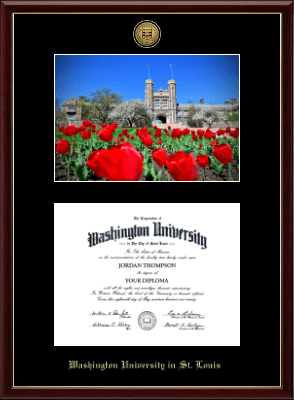 Washington University in St. Louis diploma frame - Gold Engraved Medallion Campus Scene Diploma Frame in Galleria