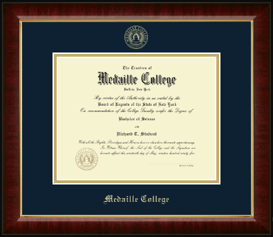 Medaille College diploma frame - Gold Embossed Diploma Frame in Murano