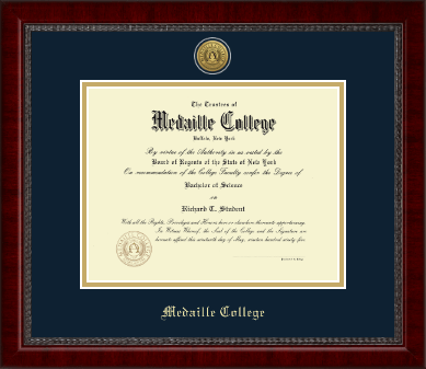 Medaille College diploma frame - Gold Engraved Medallion Diploma Frame in Sutton