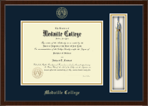 Medaille College diploma frame - Tassel & Cord Diploma Frame in Delta