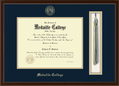 Medaille College diploma frame - Tassel & Cord Diploma Frame in Delta