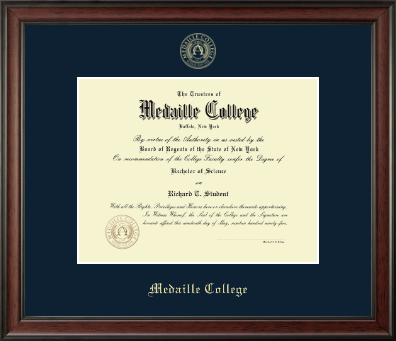 Medaille College diploma frame - Gold Embossed Diploma Frame in Studio