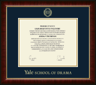 Yale University diploma frame - Gold Embossed Diploma Frame in Murano