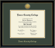 Essex County College Gold Engraved Medallion Diploma Frame in Onexa Gold