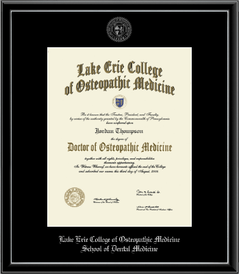 Lake Erie College of Osteopathic Medicine diploma frame - Silver Embossed Diploma Frame in Onexa Silver