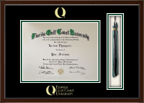 Florida Gulf Coast University Tassel Edition Diploma Frame in Delta