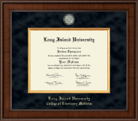 Long Island University Post diploma frame - Presidential Masterpiece Diploma Frame in Madison