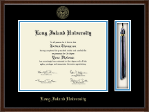 Long Island University Post Tassel Edition Diploma Frame in Delta