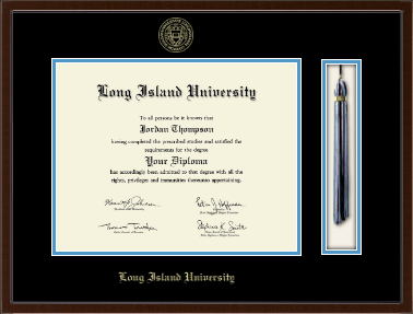 Long Island University Post diploma frame - Tassel & Cord Diploma Frame in Delta