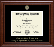 Michigan State University diploma frame - Masterpiece Medallion Diploma Frame in Prescott
