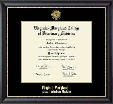 Virginia Tech diploma frame - Gold Engraved Medallion Diploma Frame in Noir