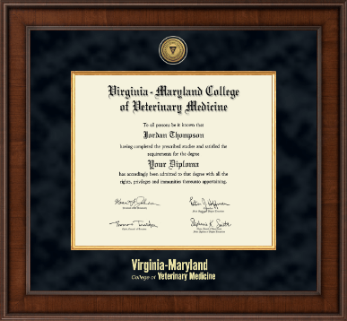 Virginia Tech diploma frame - Presidential Gold Engraved Diploma Frame in Madison