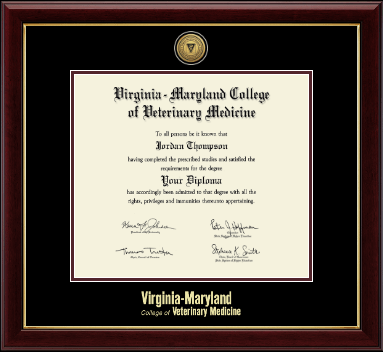 Virginia Tech diploma frame - Gold Engraved Medallion Diploma Frame in Gallery