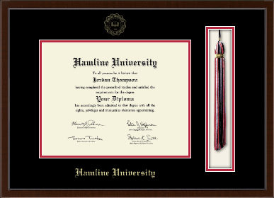 Hamline University diploma frame - Tassel & Cord Diploma Frame in Delta