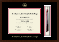 Northwest Florida State College Tassel Edition Diploma Frame in Delta
