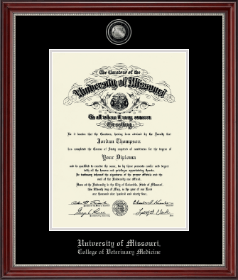 University of Missouri Columbia diploma frame - Masterpiece Medallion Diploma Frame in Kensington Silver