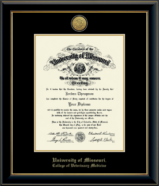 University of Missouri Columbia diploma frame - Gold Engraved Medallion Diploma Frame in Onyx Gold
