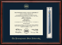 Pennsylvania State University diploma frame - Tassel & Cord Diploma Frame in Southport