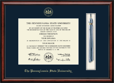 Pennsylvania State University diploma frame - Tassel & Cord Diploma Frame in Southport
