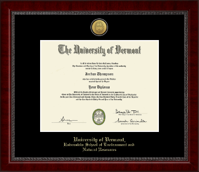 The University of Vermont diploma frame - Gold Engraved Medallion Diploma Frame in Sutton