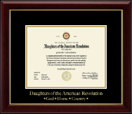 Daughters of the American Revolution Gold Embossed Certificate Frame in Gallery