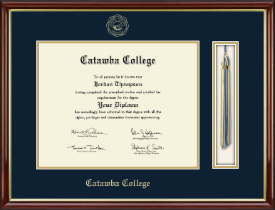 Catawba College diploma frame - Tassel & Cord Diploma Frame in Southport Gold