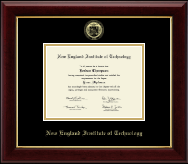 New England Institute of Technology Gold Embossed Diploma Frame in Gallery