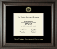 New England Institute of Technology Gold Embossed Diploma Frame in Acadia