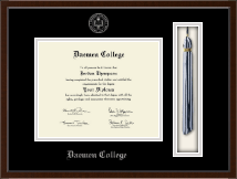 Daemen College Tassel Edition Diploma Frame in Delta