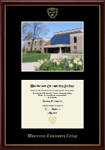 Waubonsee Community College Campus Scene Diploma Frame in Galleria