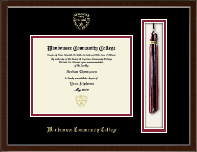 Waubonsee Community College diploma frame - Tassel & Cord Diploma Frame in Delta