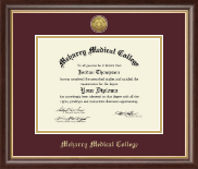 Meharry Medical College Gold Engraved Medallion Diploma Frame in Hampshire
