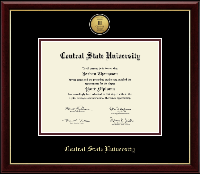 Central State University diploma frame - Gold Engraved Medallion Diploma Frame in Galleria