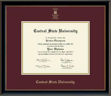Central State University diploma frame - Gold Embossed Diploma Frame in Onexa Gold