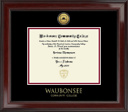Waubonsee Community College Gold Engraved Medallion Diploma Frame in Encore
