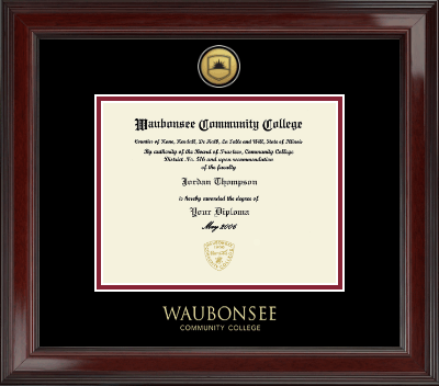 Waubonsee Community College diploma frame - Gold Engraved Medallion Diploma Frame in Encore