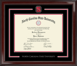 Spirit Medallion Diploma Frame