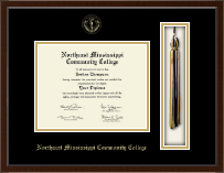 Northeast Mississippi Community College Tassel Edition Diploma Frame in Delta