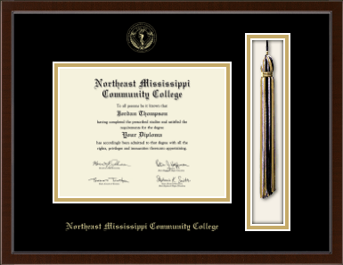Northeast Mississippi Community College diploma frame - Tassel & Cord Diploma Frame in Delta