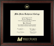 University of South Florida diploma frame - Gold Embossed Achievement Edition Diploma Frame in Studio