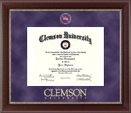 University of South Florida diploma frame - Regal Edition Diploma Frame in Chateau