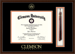 Tassel & Cord Diploma Frame