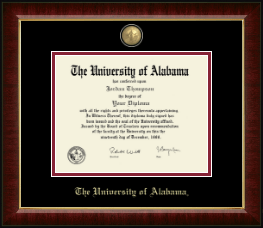 Masterpiece Medallion Diploma Frame