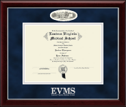 Eastern Virginia Medical School Campus Cameo Diploma Frame in Gallery Silver