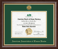 American Association of Tissue Banks Gold Engraved Medallion Certificate Frame in Hampshire