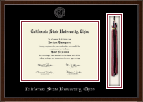 California State University Chico diploma frame - Tassel & Cord Diploma Frame in Delta