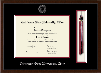 California State University Chico diploma frame - Tassel & Cord Diploma Frame in Delta