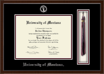 University of Montana Missoula diploma frame - Tassel & Cord Diploma Frame in Delta
